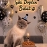 BULUT