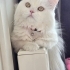 PAMUK