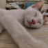 merlin