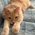 Oscar