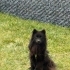 Zeytin
