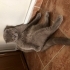 Uzay