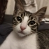 Ares