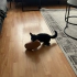 Zeytin