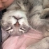 Yufi