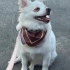 Kuki