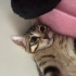 Loki