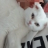 Casper