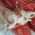 Yumoş