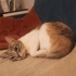 Leydi