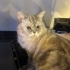 Pablo