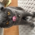 Mia