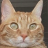 SULU