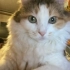 Suzan