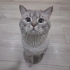 Oscar