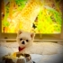 Toby