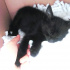 zeytin