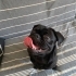 Zeytin