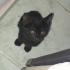 Zeytin