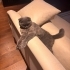 Cüce