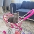 Zeytin