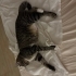 Lilly