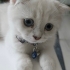 Peker