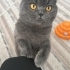 Mia