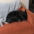 Ares
