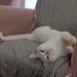 olaf