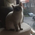 Yuki