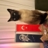 Hünnap