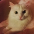 Nejad