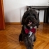 BAMBAM