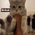 Tom