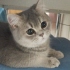 Mia (Boncuk)