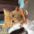 Kedi