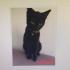 zeytin