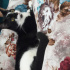 Zeytin