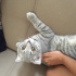 Duman