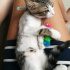 Mia