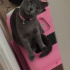 Mia