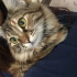 mia