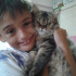 bade