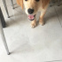 Pasa