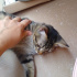 Duman
