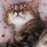 Bade