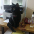 Zeytin