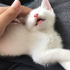 Casper