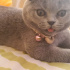 Mia